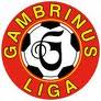 Campionat Cehia Liga 1 etapa 22