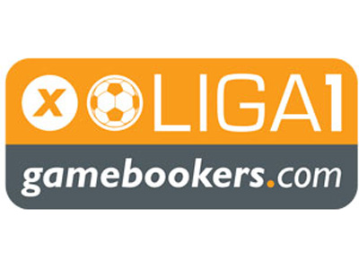 Campionat Romania 2010 - Liga 1 : Etapa 19