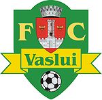 Bursa Transferurilor in Liga 1 : FC Vaslui
