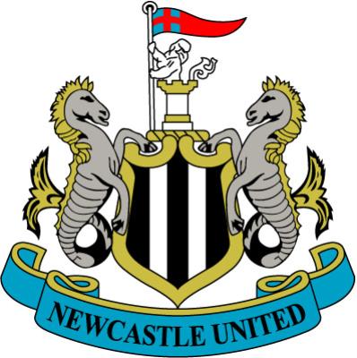 Transferuri Newcastle vara 2012 Anglia Premier League 2012-2013