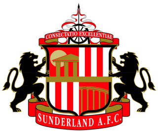 Transferuri Sunderland vara 2012 Anglia Premier League 2012-2013