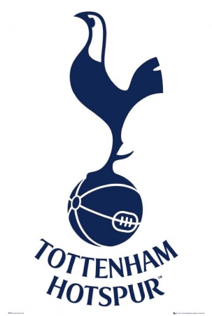 Transferuri Tottenham vara 2012 Anglia Premier League 2012-2013