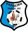 Transferuri Pandurii Targu Jiu Liga 1 vara 2012